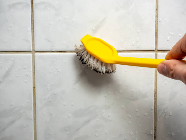 Best White Mold Remediation in Gibraltar, MI