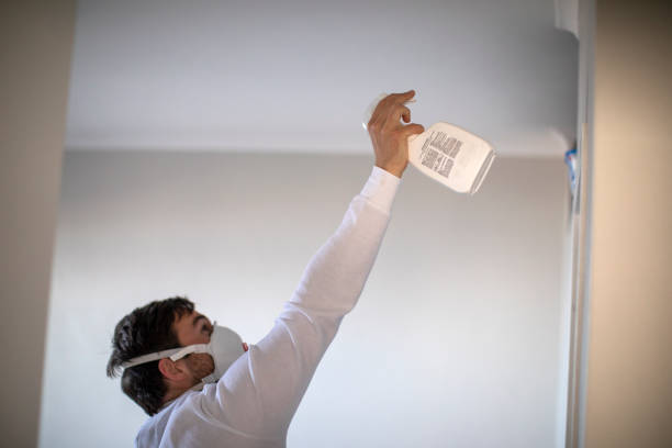 Best Commercial Mold Remediation in Gibraltar, MI