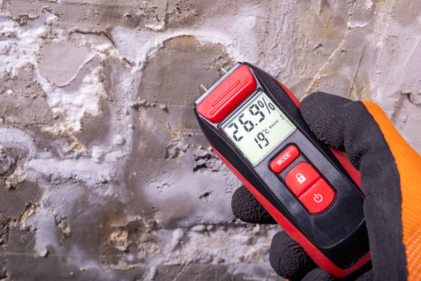 Best HVAC Mold Remediation in Gibraltar, MI